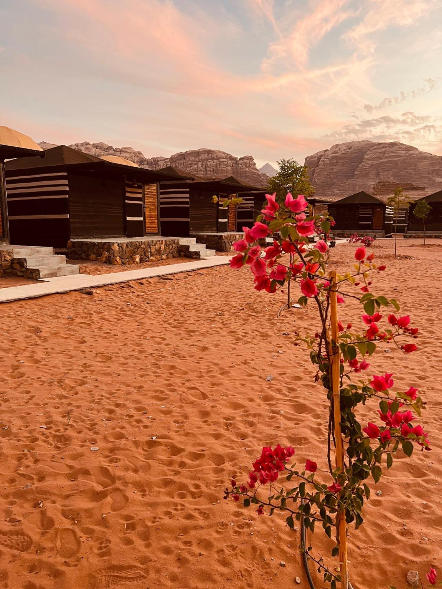 וואדי רם Revan Rum Luxury Camp מראה חיצוני תמונה