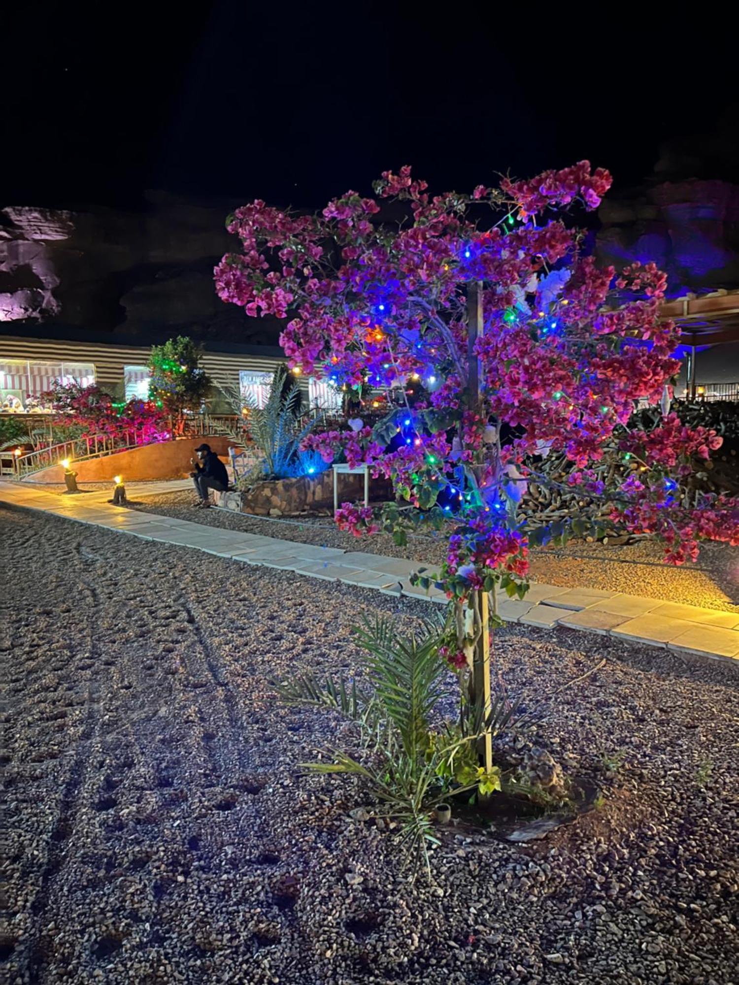 וואדי רם Revan Rum Luxury Camp מראה חיצוני תמונה